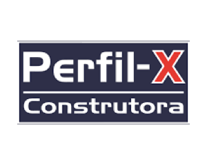 Perfil X